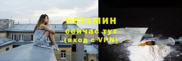 твердый Дмитровск